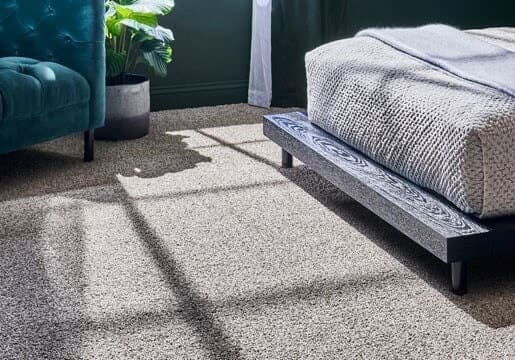 Carpet